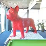 アポストロフ コクセッド
