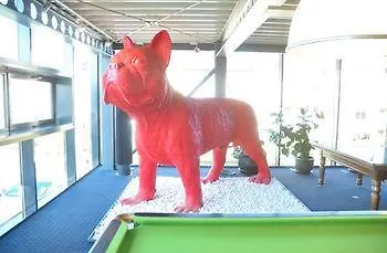 아포스트로프 코크시데